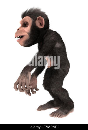3D digital render of a little chimpanzee monkey isolated on white background Stock Photo