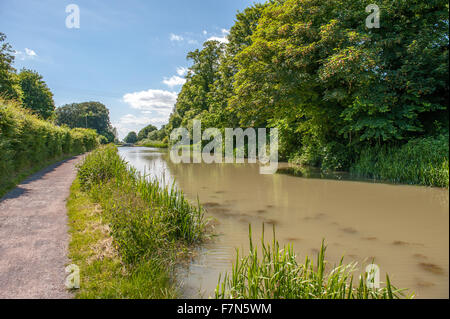 Path along a still river in summer Stock Photo