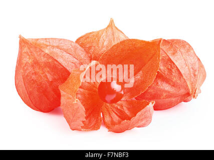 Close up of cape Gooseberry or Physalis fruit on white background Stock Photo