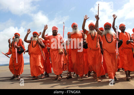 Group of sadhus in saffron colored clothing Kumbh Mela, Nasik, Maharashtra, India Stock Photo