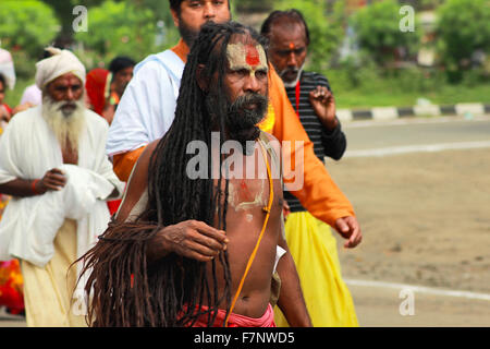 Sadhu carrying his dreadlocks Kumbh Mela, Nasik, Maharashtra, India Stock Photo