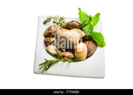 Spanish mollusc - Almeja Stock Photo