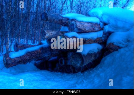 vibrant stack of huge pine tree logs covered in snow Stock Photo