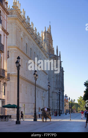 Avenida de la Constitucion,in background the cathedral,Sevilla,Andalucía,Spain Stock Photo