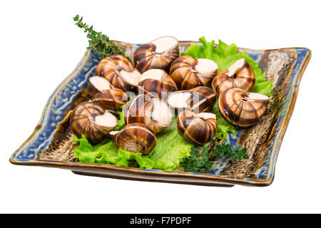 Escargot with cheese sauce Stock Photo