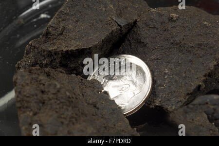 Hashish, or hash, is a cannabis product composed of compressed or purified preparations of stalked resin glands, called trichomes. Stock Photo