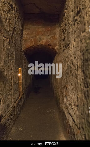 The Priest's Hole, formerly a medieval sewer, beneath The Kitchen ...