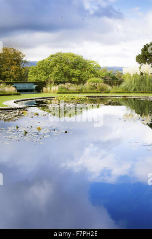 Reflections in the still water of a pond, on the Lily Terrace at Bodnant Garden, Conwy, Wales, in October. Stock Photo