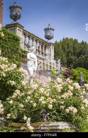 A classical statue, surrounded by tumbling roses, clematis and ferns on the Orangery Terrace at Powis Castle and Garden, Powys, Wales, on a sunny day in July. Stock Photo