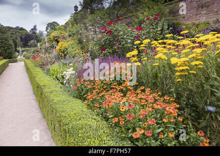 Summer border in full bloom along the Orangery Terrace at Powis Castle and Garden, Powys, Wales, in August. Plants shown include herbaceous perennials, roses and other shrubs. Stock Photo