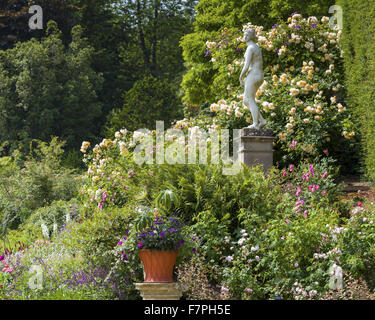 A classical statue, surrounded by tumbling roses, clematis and ferns on the Orangery terrace at Powis Castle and Garden, Powys, Wales, on a sunny day in July. Stock Photo