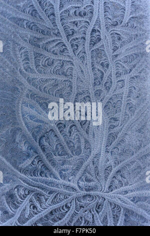 Ice patterns formed on a car. Europe Stock Photo