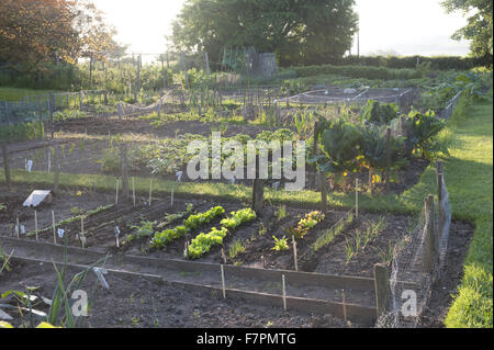 The vegetable garden at Monk's House, East Sussex. Monk's House was the writer Virginia Woolf's country home and retreat. Stock Photo