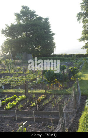 The vegetable garden at Monk's House, East Sussex. Monk's House was the writer Virginia Woolf's country home and retreat. Stock Photo