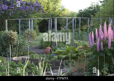 The vegetable garden at Monk's House, East Sussex. Monk's House was the writer Virginia Woolf's country home and retreat. Stock Photo