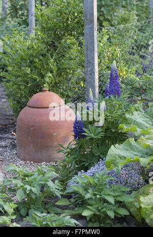 The vegetable garden at Monk's House, East Sussex. Monk's House was the writer Virginia Woolf's country home and retreat. Stock Photo