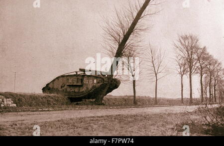 British tank destroys a tree en route to the battle of Cambrai , during World war One 1917. The Battle of Cambrai was a British military offensive, that involved the first successful use of tanks and combined arms. Stock Photo
