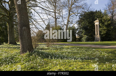 A view of the stone sphinx by Benjamin Carter, standing on fluted columns in the grounds of Lacock Abbey, Wiltshire, with snowdrops in bloom in the foreground. Stock Photo