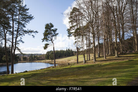 Tumbleton Lake at Cragside, Northumberland. The house, one of the finest examples of Arts and Crafts workmanship in the country, was the first in the world to be lit by hydroelectricity. Stock Photo