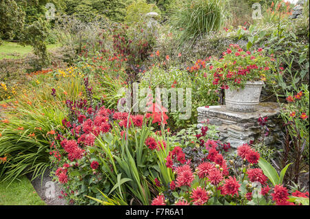 Border below the house at Coleton Fishacre, Devon. Plants include crocosmias, dahlias, gladioli, antirrhinums, alstroemerias and red hot pokers with dieramas above. The garden at Coleton Fishacre is in a valley tumbling with varied and exotic planting dow Stock Photo