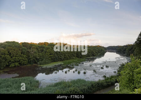 View across Bosherston Lily Pond from Grassy Bridge at Stackpole ...