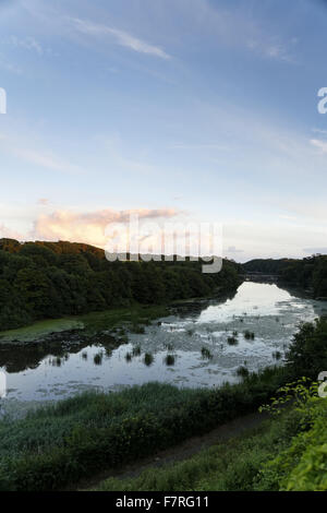 View across Bosherston Lily Pond from Grassy Bridge at Stackpole ...
