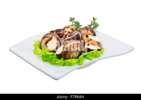 Escargot with cheese sauce Stock Photo