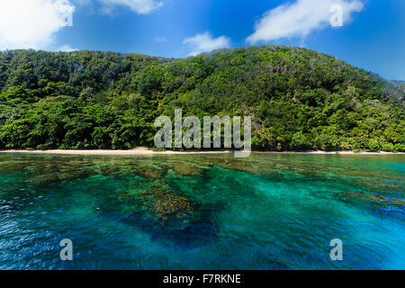 Coastal view of colorful underwater coral reef approaching island beach from sea off coast of Roatan, Honduras Stock Photo