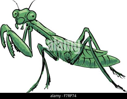 mantis Stock Vector