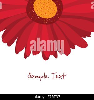 Burgundy red gerbera flower on a white background Stock Vector