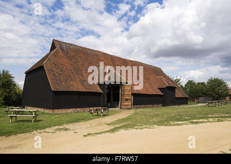 Grange Barn, Essex. One of Europe's oldest timber-framed buildings, Grange Barn stands as a lasting reminder of the once powerful Coggeshall Abbey. Stock Photo