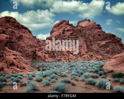 Sagebrush and rock formation. Valley of Fire State Park, Nevada Stock Photo