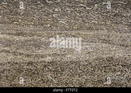 A beautiful brown marble background Stock Photo