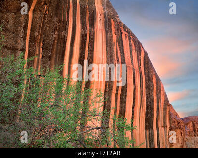 Desert varnish rock formation at Capitol Reef National Park, Utah Stock Photo