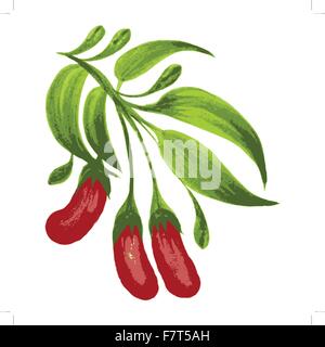 decorative ornament red berries Stock Vector