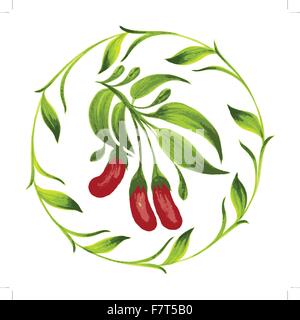 decorative ornament red berries Stock Vector