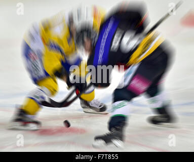 Ice hockey player in a face-off, Canton of Bern, Switzerland Stock Photo