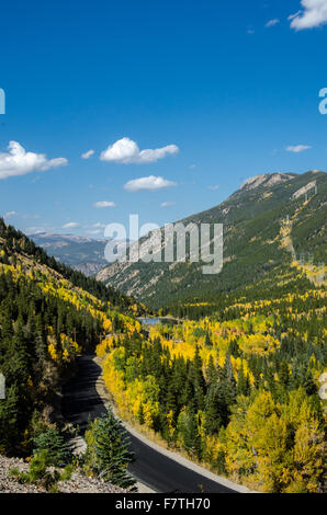 Looking down on mountain slopes covered with pine trees and yellow aspen trees Stock Photo