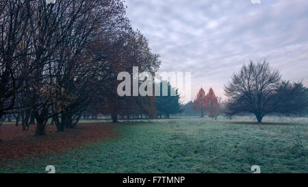 Autumnal cold morning on meadow with hoarfrost on plants and beautiful colors.Italy near Milan. Stock Photo