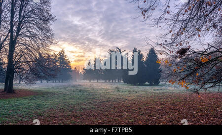 Autumnal cold morning on meadow with hoarfrost on plants and beautiful colors at sunrise,Italy near Milan. Stock Photo
