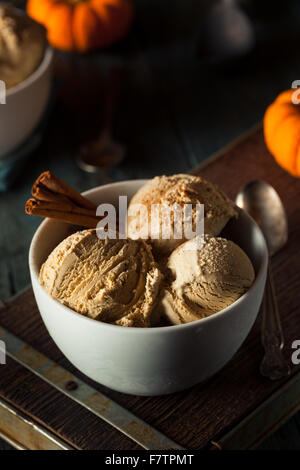 Homemade Pumpkin Pie Ice Cream with Cinnamon Stock Photo