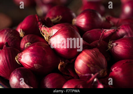 Organic Red Pearl Onions in a Bowl Stock Photo