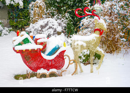 Reindeer and sleigh with presents, outdoor Christmas decoration Stock Photo
