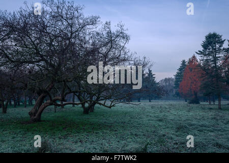 Autumnal cold morning on meadow with hoarfrost on plants and beautiful colors.Italy near Milan. Stock Photo