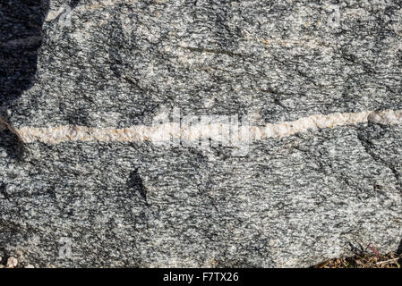 Precambrian Migmatite consists of minerals quartz, feldspar and biotite at Mount Lemmon, Tucson, Arizona, USA. Stock Photo