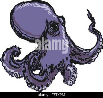 illustration of a close up octopus Stock Vector Image & Art - Alamy