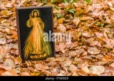 an icon with the picture of the Merciful Jesus among fallen leaves in Autumn:  sentence on the ribbon Jesus, I trust in you Stock Photo