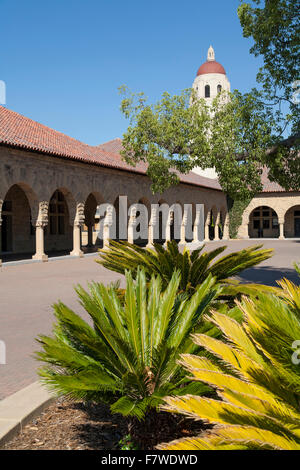 United States, California, Palo Alto, Stanford University Campus, The Quad, Hoover Tower Stock Photo
