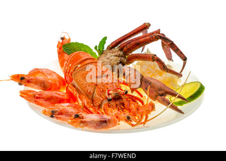 Spiny lobster, shrimps, crab legs  and rice Stock Photo