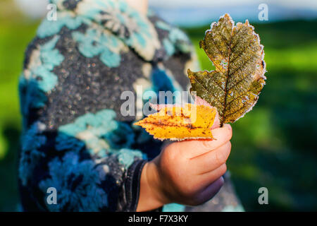 Mid section of a girl holding frosty leaves Stock Photo